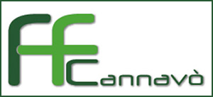 sito ufficiale fondazione cannav&ograve;